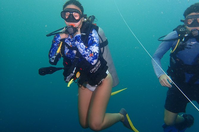 One-Day Diving Mini Course - Discover Scuba Diving - The timing works well, with one important catch