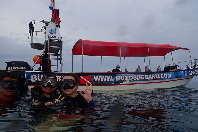 One-Day Diving Mini Course - Discover Scuba Diving - Optional pool training the afternoon before