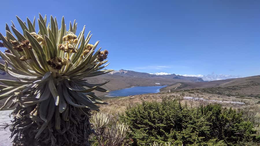Otun Lagoon, 2 day expedition - Otún Lagoon and the páramo lesson