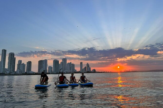 Paddleboard Tour - The short lesson before you paddle