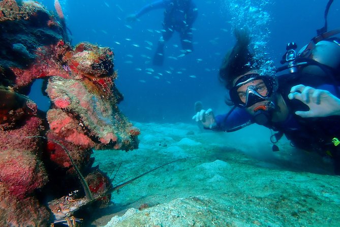 PADI Open Water Diving Course - Key points at a glance