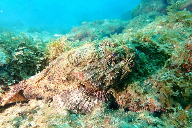 PADI Open Water Diving Course - Why the Caribbean hotel pool matters