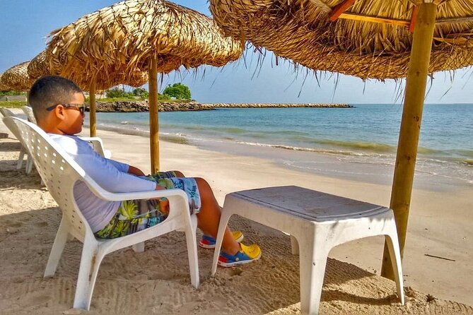 Palmarito Beach - What your $81 buys at Palmarito Beach