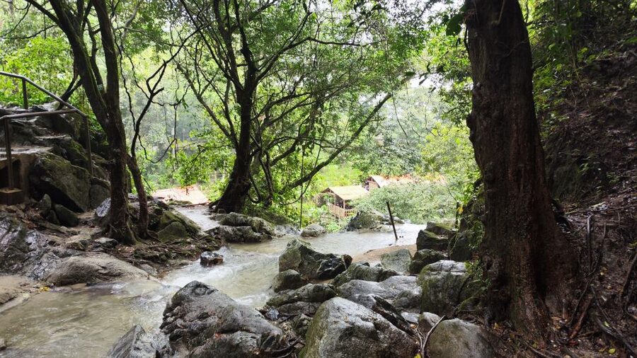 Palomino: Hiking Tour of Valencia Waterfalls with Transfers - Is $77 a Fair Price?