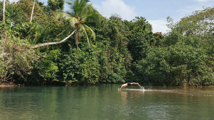 Palomino: Hiking Tour of Valencia Waterfalls with Transfers - Valencia Waterfalls and the Natural Pools