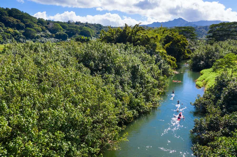 Palomino: Palomino River Paddle Board Adventure - Key points to know before you book
