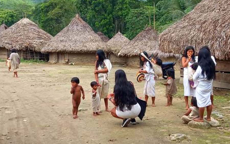 Palomino: Private Tour to Tungueka Indigenous Village - Key points to know before you book