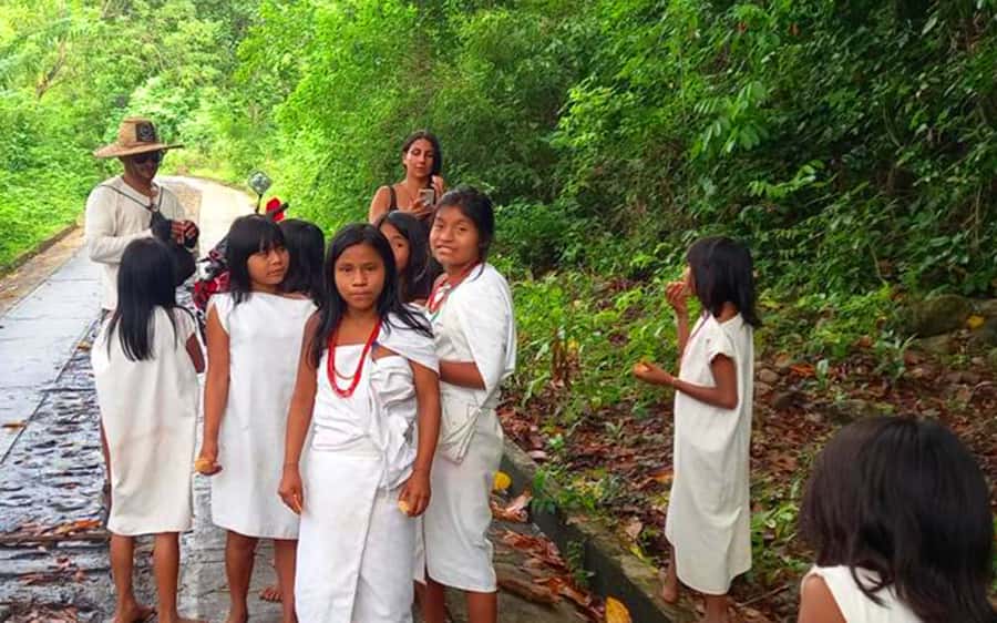 Palomino: Private Tour to Tungueka Indigenous Village - Practical details that shape the day