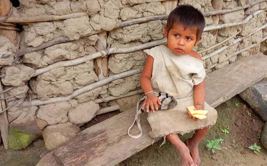 Palomino: Private Tour to Tungueka Indigenous Village - Meeting the Kogi people of Tungueka