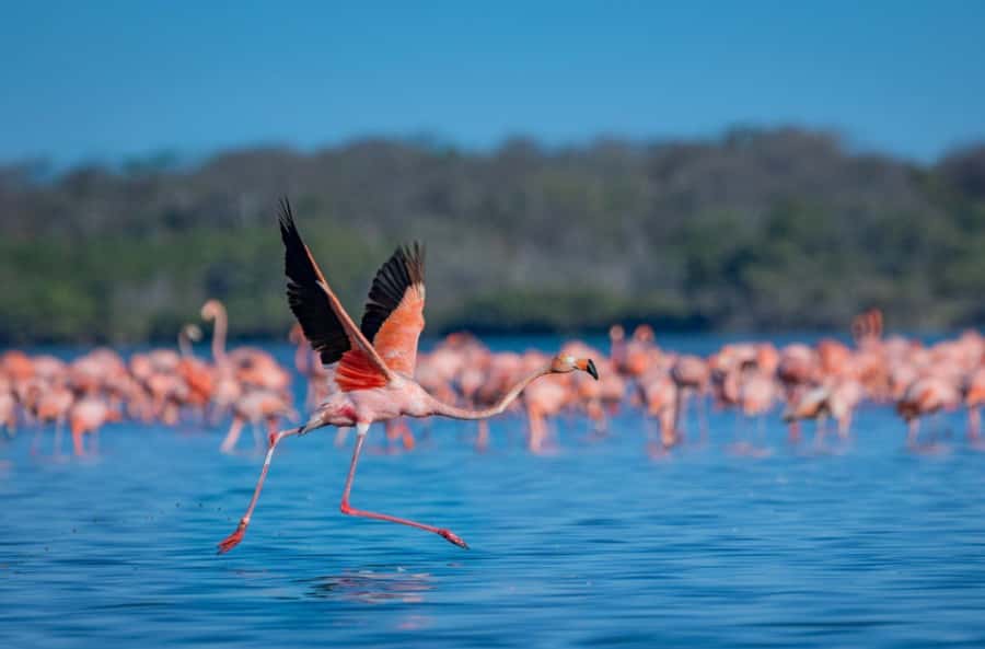 Palomino: Sanctuary of Flamingos Day Tour - Leaving Palomino for rural La Guajira