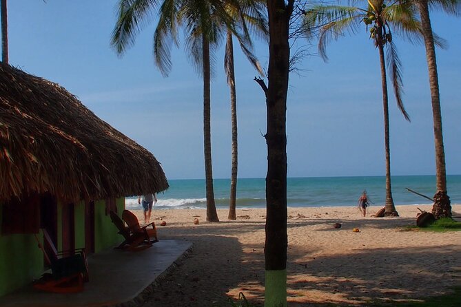 Palomino Tour from Santa Marta with Tubing, Breakfast and Lunch - Tubing through tropical surroundings
