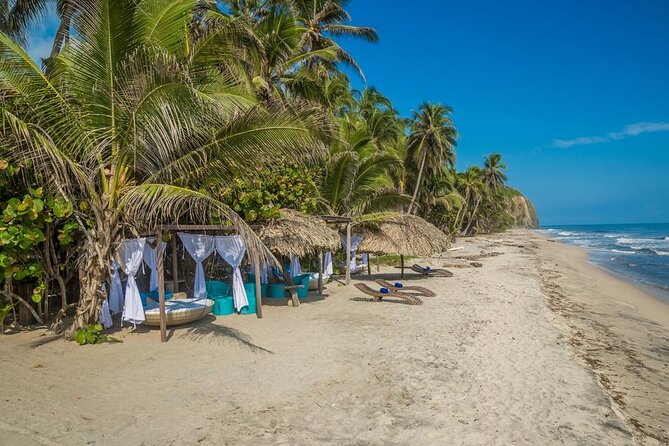 Palomino Tour from Santa Marta with Tubing, Breakfast and Lunch - Lunch with local flavors