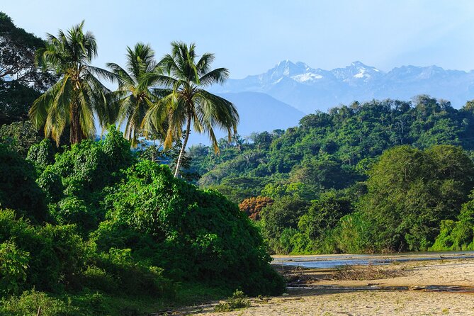 Palomino Tour from Santa Marta with Tubing, Breakfast and Lunch - What the $54 price really covers