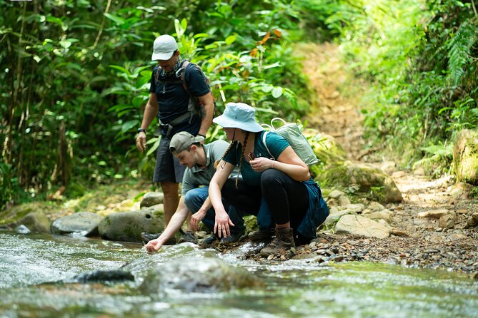 Pance Waterfalls: Hike to discover the biodiversity of the valley - Why Pance makes a good day trip from Cali