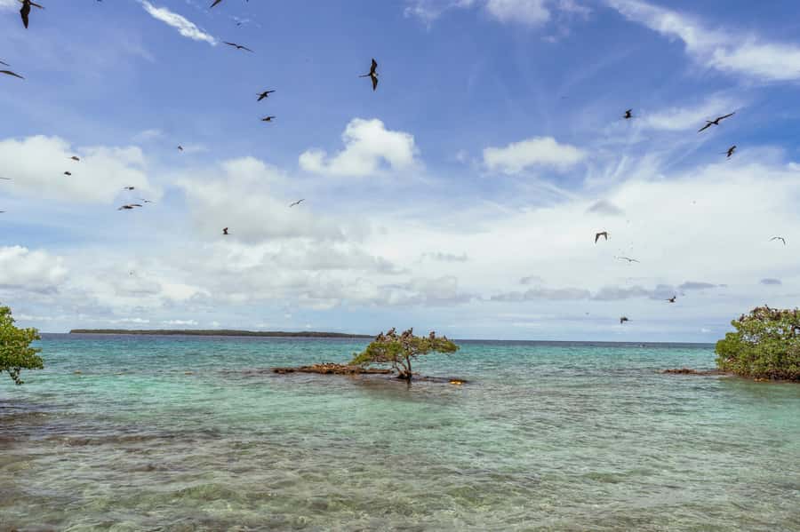 PAO PAO BEACH CLUB - The frigate tour and the character of the island