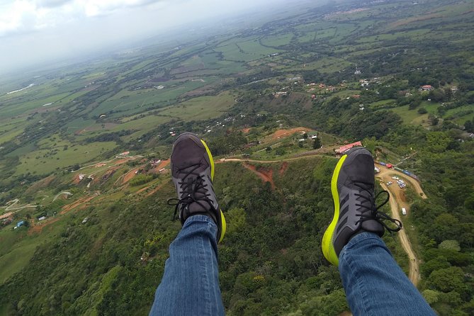 Paragliding + Wine tasting + Hacienda El Paraiso + Saint Helena - Key points to know before booking