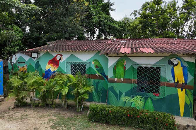 Parrot & Macaw Volunteering in a Wildlife Reserve Near Cartagena - Harvesting cassava and papaya with local farmers