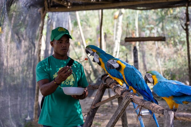 Parrot & Macaw Volunteering in a Wildlife Reserve Near Cartagena - Planting a native tree near release habitat