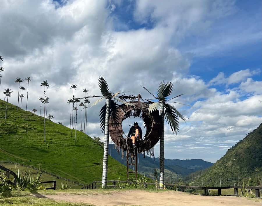 PEREIRA/ARMENIA: Full Day Tour to Salento, Filandia, and Cocora Valley - Who should book this Cocora Valley day trip?