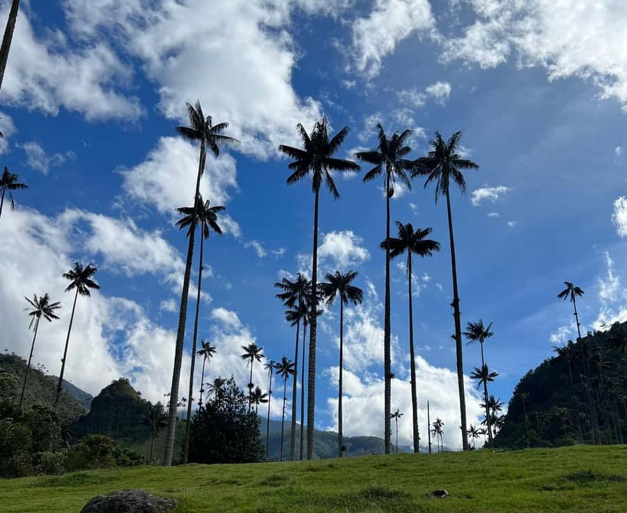PEREIRA/ARMENIA: Full Day Tour to Salento, Filandia, and Cocora Valley - Salento in 15 minutes
