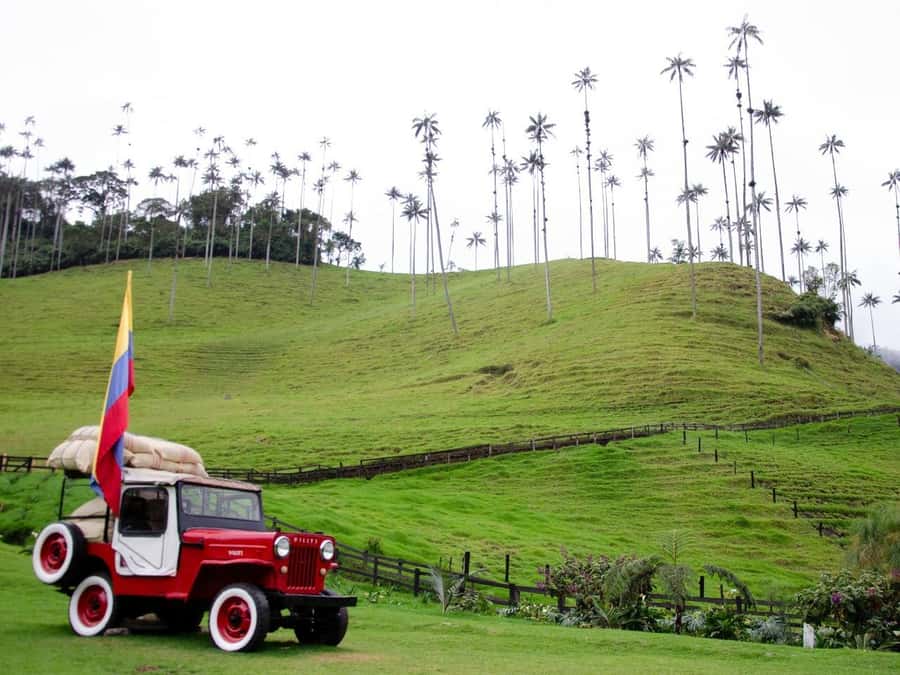 PEREIRA/ARMENIA: Full Day Tour to Salento, Filandia, and Cocora Valley - The ride from Pereira or Armenia