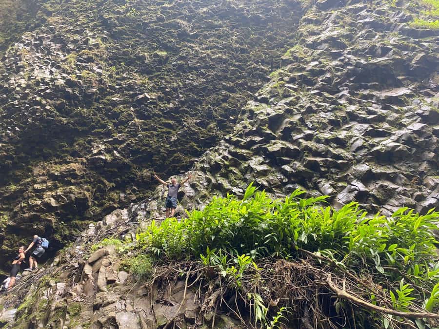 PEREIRA: DAY TREKKING TO WATERFALL + LUNCH AND MOUNTAINEERING COFFEE - Key points before you book