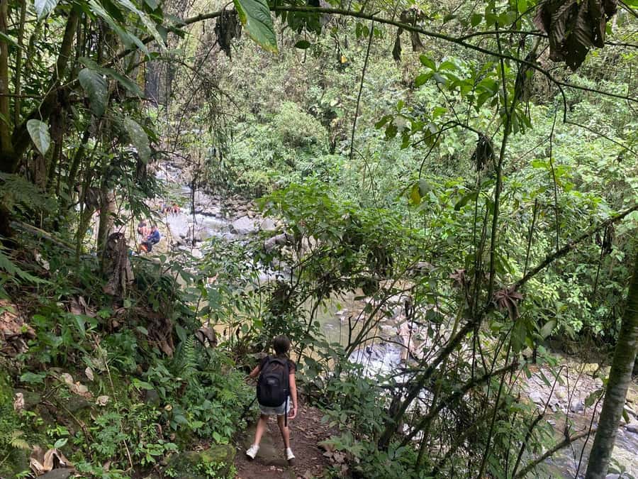PEREIRA: DAY TREKKING TO WATERFALL + LUNCH AND MOUNTAINEERING COFFEE - What the Pereira to Don Lolo outing is really about