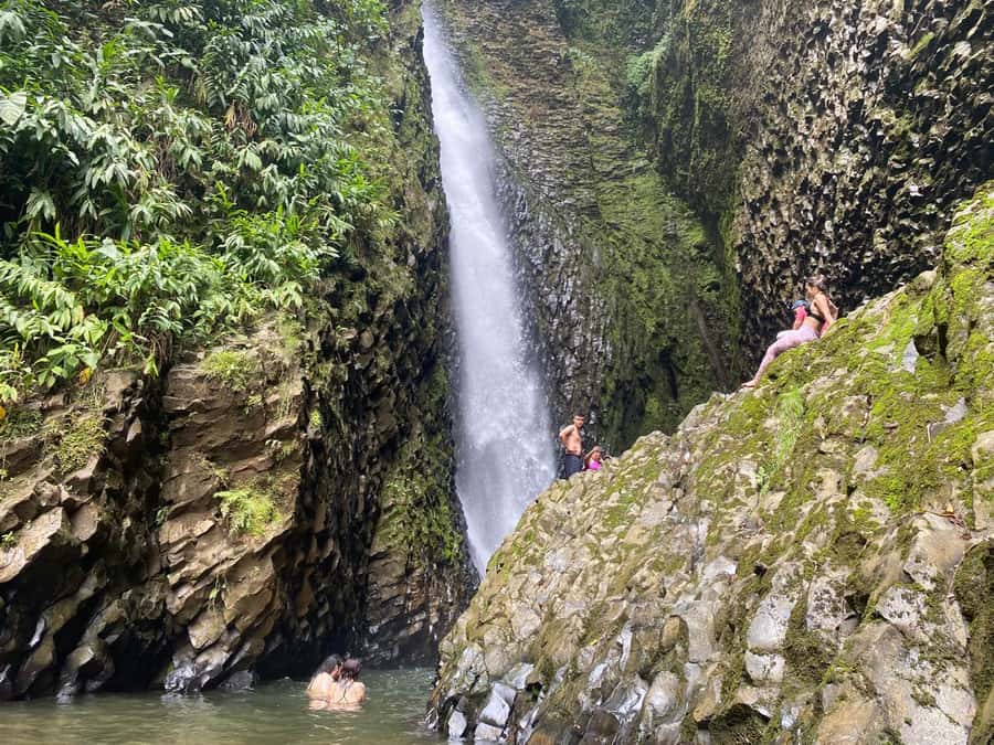 PEREIRA: DAY TREKKING TO WATERFALL + LUNCH AND MOUNTAINEERING COFFEE - The one-hour walk to Don Lolo waterfalls