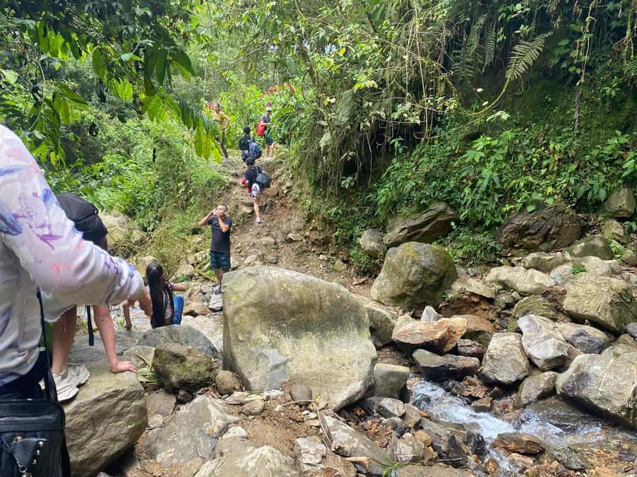 PEREIRA: DAY TREKKING TO WATERFALL + LUNCH AND MOUNTAINEERING COFFEE - Coffee over a wood fire at a mountain house