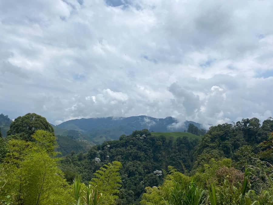 PEREIRA: DAY TREKKING TO WATERFALL + LUNCH AND MOUNTAINEERING COFFEE - Is $107 per person fair value?
