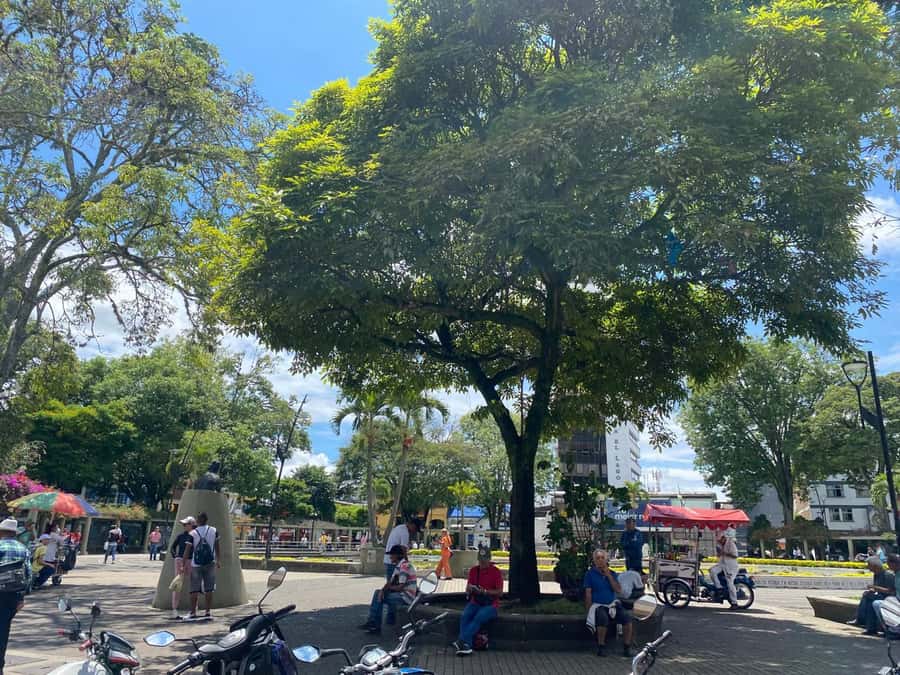 PEREIRA: PRIVATE TOUR OF MAIN SQUARES, HISTORICAL SITES + LOOKOUT POINT - The historic block is the walking heart of the tour