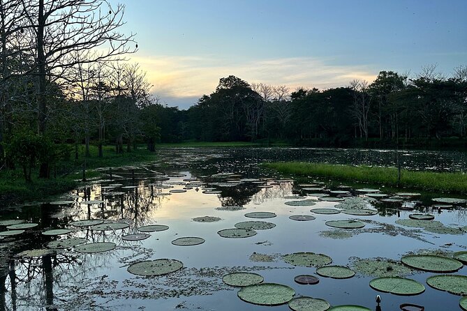 Plan Immersion 5 days 4 nights Leticia Amazonas - What the $880 price really covers