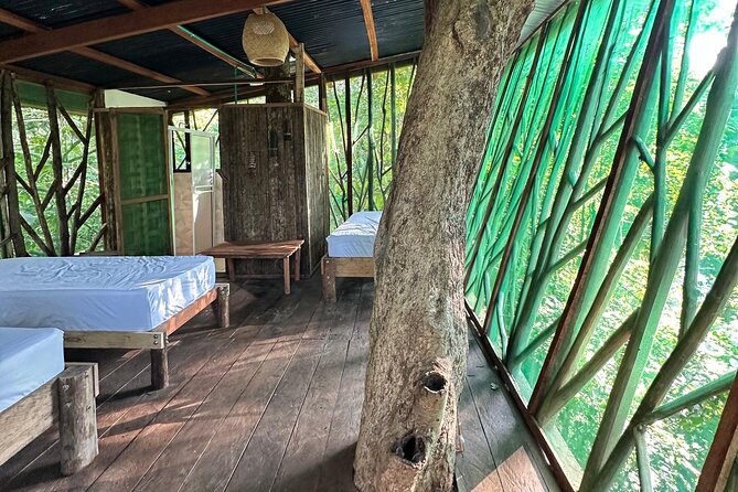 Plan Immersion 5 days 4 nights Leticia Amazonas - The guides, organization, and human side of the trip