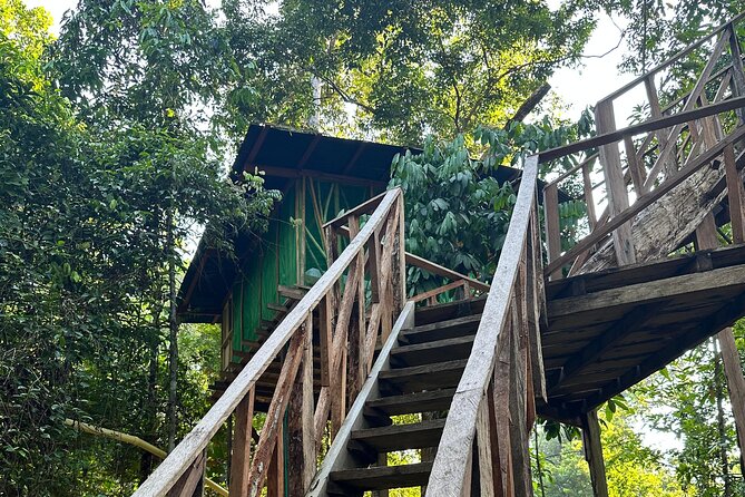 Plan Immersion 5 days 4 nights Leticia Amazonas - Who should book this five-day Amazon program?