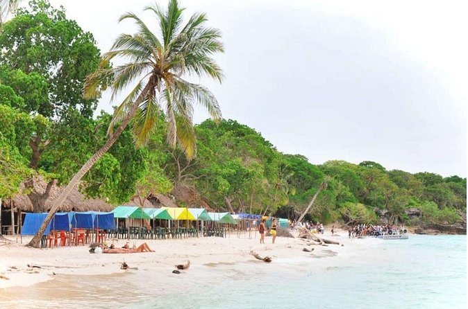 Playa Blanca Barú Tour with Lunch and hotel pick up - How the guide and transport affect the day