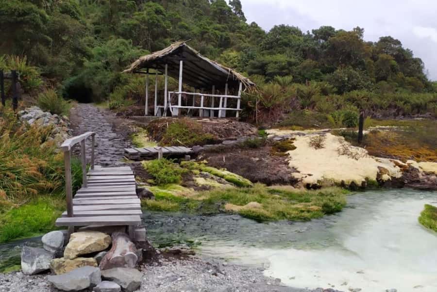 Popayan: Condor Watching in Purace + San Juan Hot Springs - Why Puracé makes a fine day trip from Popayán