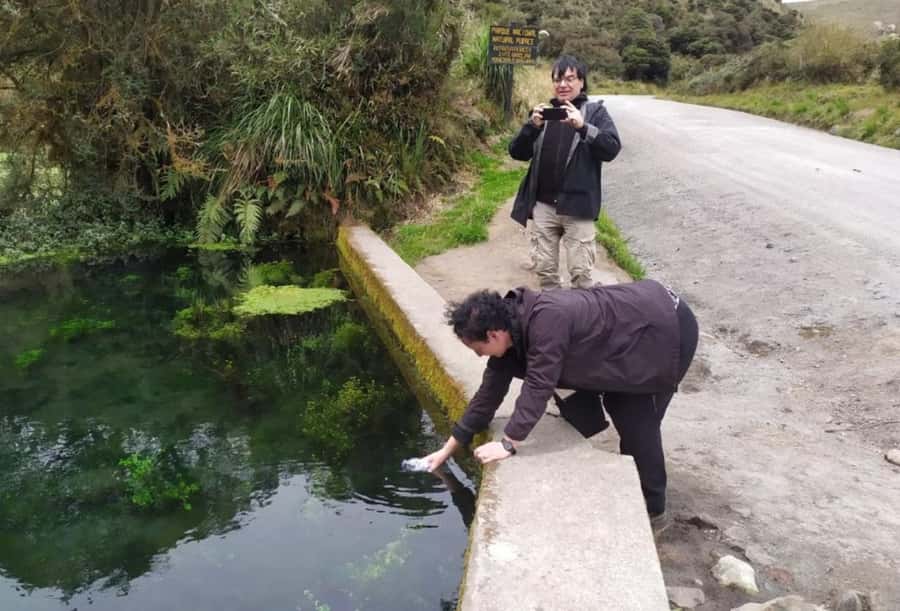 Popayan: Condor Watching in Purace + San Juan Hot Springs - Frailejones, Bedón waterfall, and Andulbio lagoon