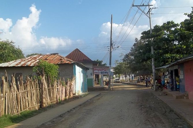 Popular Tour San Basilio De Palenque - The public transportation question
