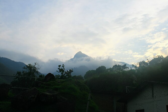 Private 12-hour tour of the Farallones de Cali - Leaving San Antonio at 5:30 a.m.
