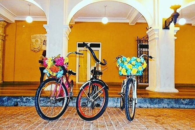 private bike tour - Who will enjoy this ride most?