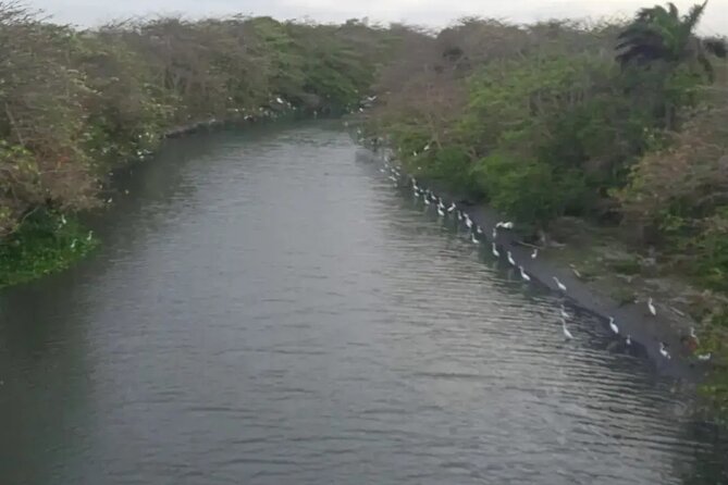 Private Bike Tour of Barranquilla - El Prado offers a calmer change of pace