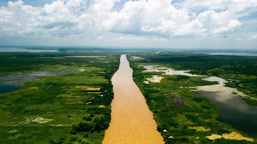 Private birdwatching tour on the Dique Canal - Why the Dique Canal makes a good birdwatching base
