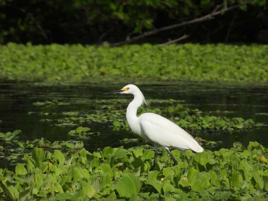 Private birdwatching tour on the Dique Canal - What the six-hour schedule really feels like