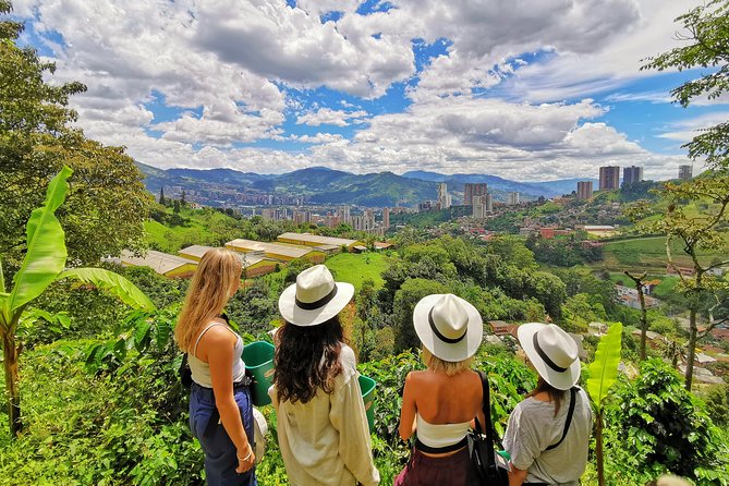 Private Coffee Farm Tour in Medellin: Real Authentic Experience - Hotel pickup makes the half-day easy