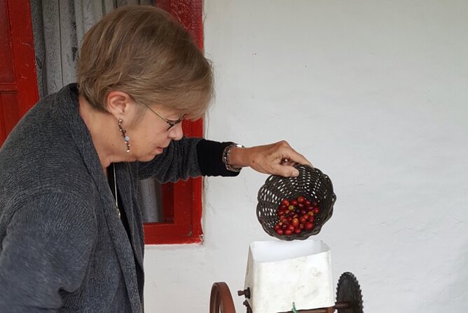 Private coffee tour near Medellín, from bean to cup. - Following the coffee from fruit to bean