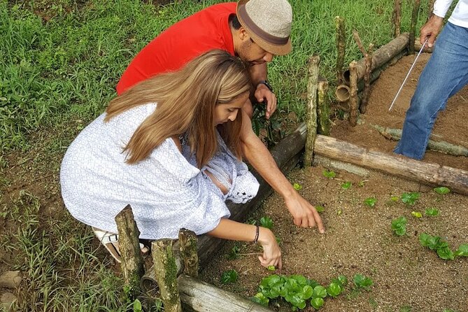 Private coffee tour near Medellín, from bean to cup. - Meeting the family behind two generations of coffee