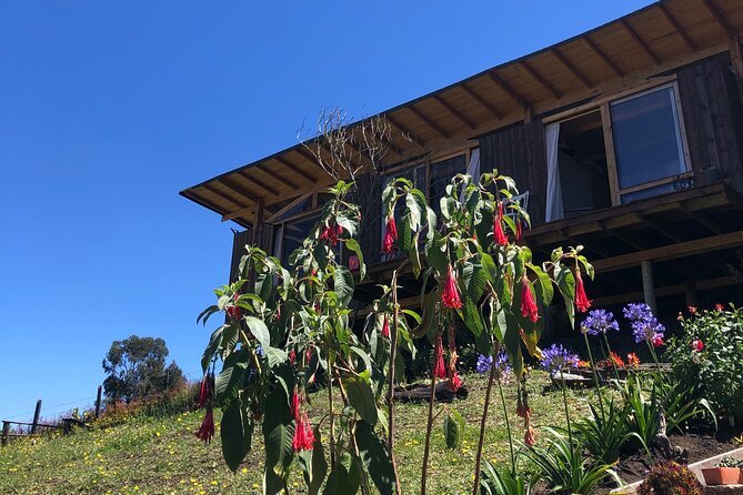 Private Day of Immersion in Country Life with Food - Picnic food, hot chocolate, and a welcoming house