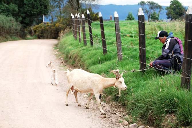 Private Day Trip to Traditional Towns Around Bogotá (9 Hrs.) - Is $329 per person good value?