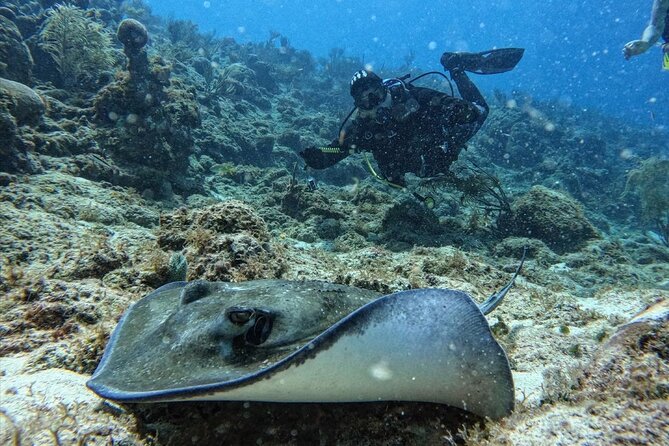 Private Diving Experience for Beginners in San Andres Islands - Key Points to Know Before Booking