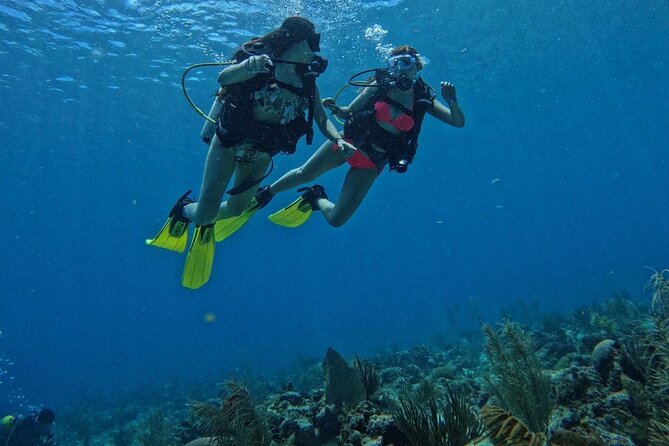 Private Diving Experience for Beginners in San Andres Islands - What This San Andrés Scuba Lesson Really Is
